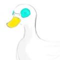 รูปโพรไฟล์ของ KuduckLN