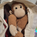 รูปโพรไฟล์ของ Mr0Monkey309