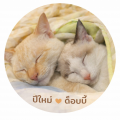 รูปโพรไฟล์ของ Kamekidz
