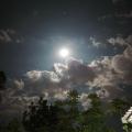 รูปโพรไฟล์ของ Gifttzy