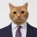 รูปโพรไฟล์ของ NovelHandsomeCat