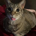 รูปโพรไฟล์ของ JzUio