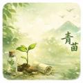 รูปโพรไฟล์ของ QingMiao