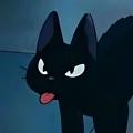 รูปโพรไฟล์ของ PrismCat