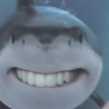 รูปโพรไฟล์ของ Whiteshark007