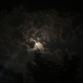 รูปโพรไฟล์ของ mafavmoony