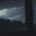 รูปโพรไฟล์ของ Heavy-rain-Day99