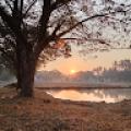 รูปโพรไฟล์ของ NAture19
