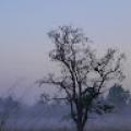 รูปโพรไฟล์ของ SweetlyScary