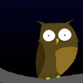 รูปโพรไฟล์ของ NightOwl1