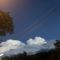 รูปโพรไฟล์ของ NortPolar