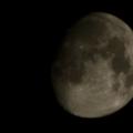รูปโพรไฟล์ของ dark-nes