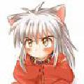 inu2528