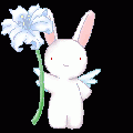 รูปโพรไฟล์ของ blue-flower