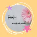 รูปโพรไฟล์ของ n219
