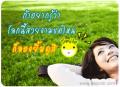 รูปโพรไฟล์ของ mekaroot