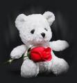 ณ กลหยดหมึก