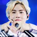 รูปโพรไฟล์ของ ksyoum-cho