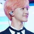 รูปโพรไฟล์ของ yamanekonam
