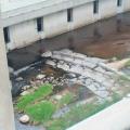 รูปโพรไฟล์ของ -nutsume-