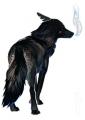 รูปโพรไฟล์ของ blackwolf