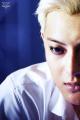 รูปโพรไฟล์ของ blackrose-akira