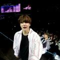 รูปโพรไฟล์ของ panda-719