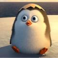 รูปโพรไฟล์ของ masterpenguin