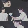 รูปโพรไฟล์ของ icedkihae