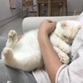 รูปโพรไฟล์ของ tiraporn0031