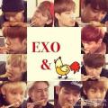 รูปโพรไฟล์ของ snsd_sone_exo