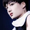 รูปโพรไฟล์ของ moexea