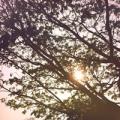 รูปโพรไฟล์ของ starandshadow
