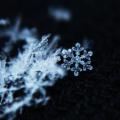 รูปโพรไฟล์ของ banana-garden26