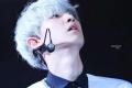 รูปโพรไฟล์ของ icing-exo