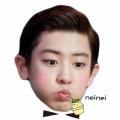 รูปโพรไฟล์ของ chanyeolholic
