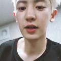 รูปโพรไฟล์ของ pcy_12188