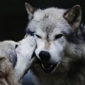 รูปโพรไฟล์ของ hhhnnnoooyyy