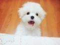 รูปโพรไฟล์ของ byun-p