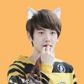 รูปโพรไฟล์ของ buabubi