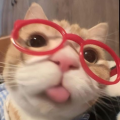 รูปโพรไฟล์ของ Alora