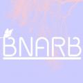 รูปโพรไฟล์ของ BNarB