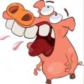 รูปโพรไฟล์ของ Milkypig