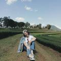 รูปโพรไฟล์ของ iippooh_