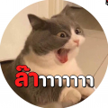 รูปโพรไฟล์ของ nin_ananya