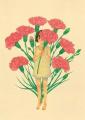รูปโพรไฟล์ของ chineasy