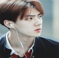 รูปโพรไฟล์ของ AriesN_