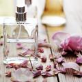 รูปโพรไฟล์ของ Perfumery