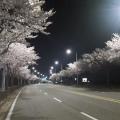 รูปโพรไฟล์ของ tp510