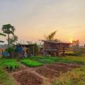 รูปโพรไฟล์ของ Yuthaporn